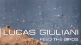Feed the birds – Lucas Giuliani