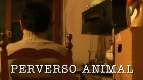 Perverso animal – directed by Nicolás Münzel Camaño